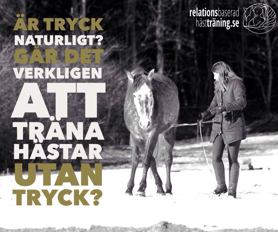 “Det går inte att hantera hästar utan tryck”