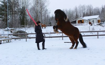 Podd: Säkerhet & rörelseglädje