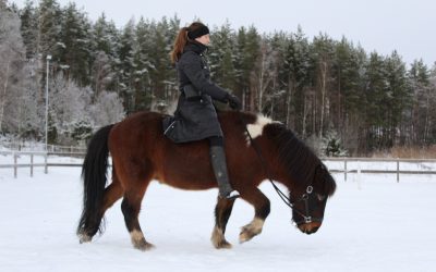 Utforska: din kroppsmedvetenhet med kroppskartan