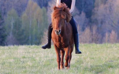Utforska: din medvetenhet i den tredimensionella rörelsen i ridningen