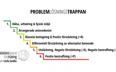 Problemlösningstrappan