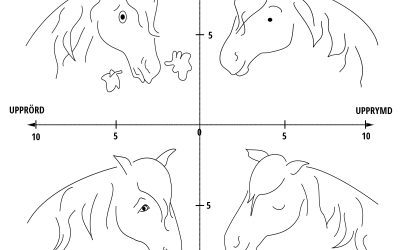 Grundläggande känslospann (Core Affect space)