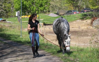 Leda och stanna – fallgropar