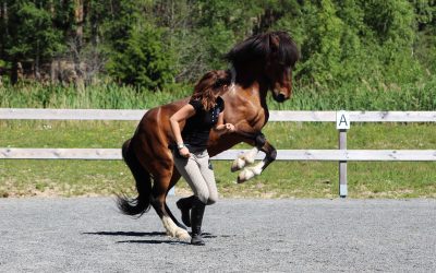 Teori: Vad gör vi när vi inte tränar?