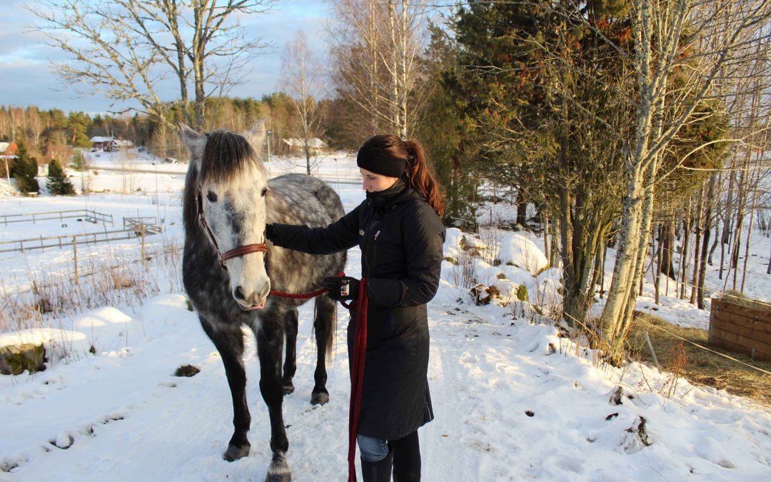 Utforska: Begränsning i grimstaftet
