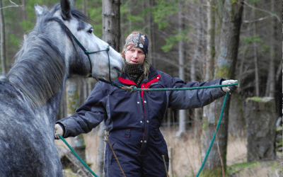Tryck och eftergift eller taktila signaler