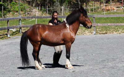 Övning: Hållbar Hållning del 2
