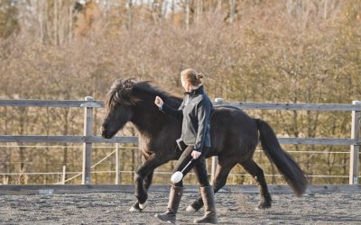 Target-dutt och target-följ