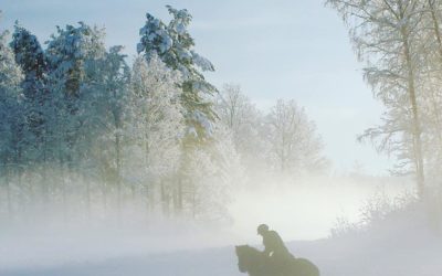 Hur går Relationsbaserad ridning till?