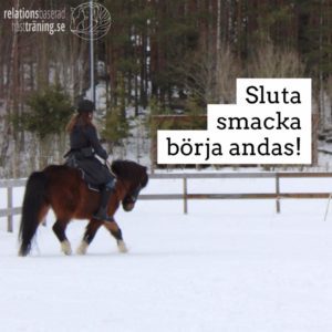 avslappning i ridningen och en häst som deltar i träningen