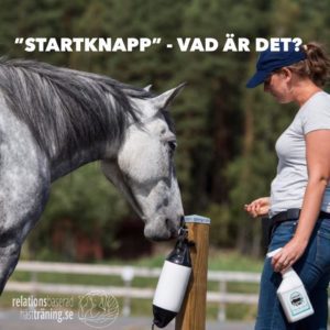 startknapp - vad är det?