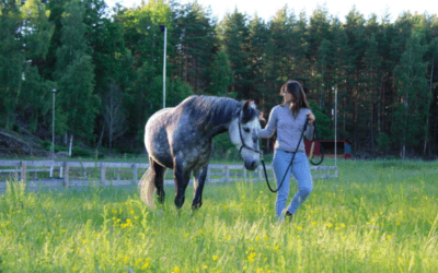 Begränsningar och tryck