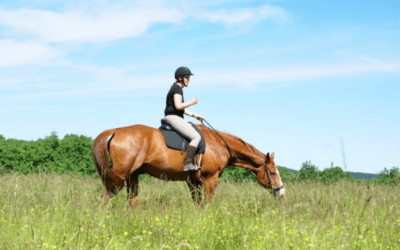 Samarbete – med hjälp av gräset