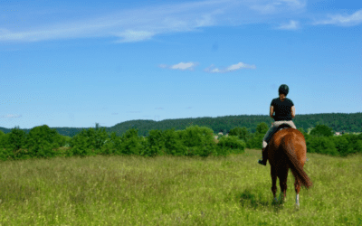Att lyckas ger självförtroende