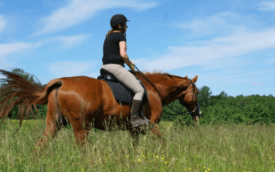 Podd – Relationsbaserad Ridning