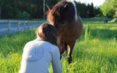 När utvecklingen står still