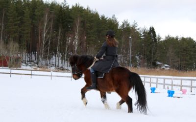 Teori: Mobilitet, stabilitet, kapacitet och proprioception