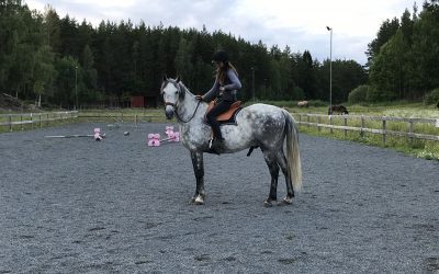 Hästar som skaftar ur