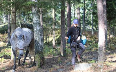 Övning: Lek & träning i hagen