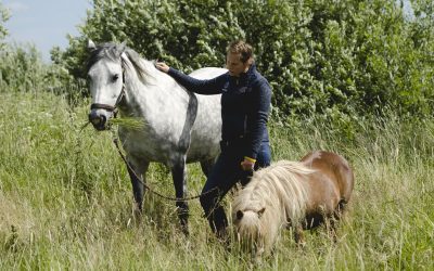 Fysisk beröring & borstning