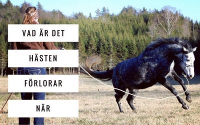 Vad förlorar hästen när vi vinner