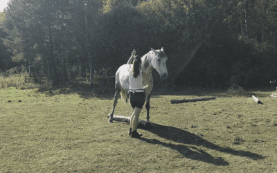 Övning: Flytta in bakdelen / Höft-target