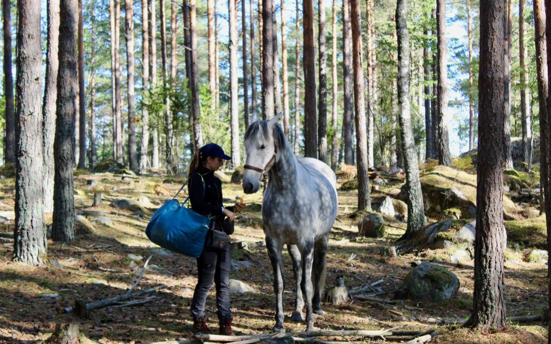 Podd: Vad är ett träningspass?