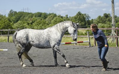 Podd: Variation i träningen