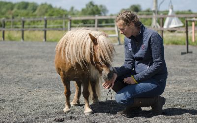 Övning: Rörelseberikning för dig
