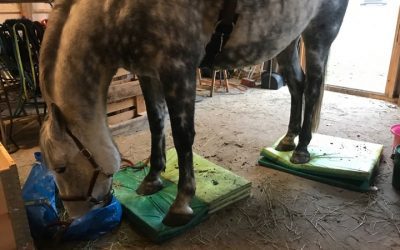 Övning: Stå på mattan medan…