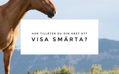 Tillåtelse att visa smärta