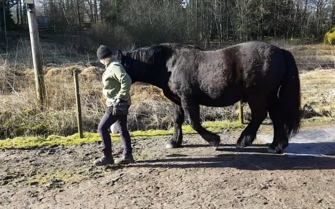 Kedjor & Sekvenser