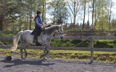 Mini-podd: begränsningar