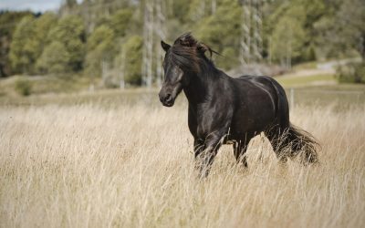 Din målbild för den nya terminen!