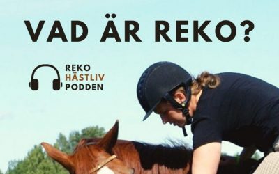 Reko hästträning?