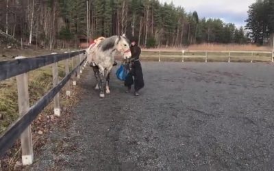 Övning: Öppna med belöningsplacering