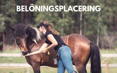 Podd: Belöningsplacering