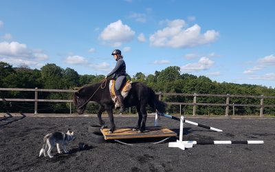 Övning: Gungbrädan