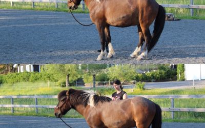 Övning: Hållbar hållning / Crunches