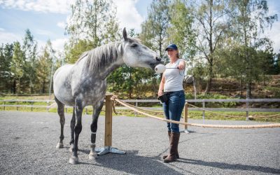 Att börja med omvänd rundkorall