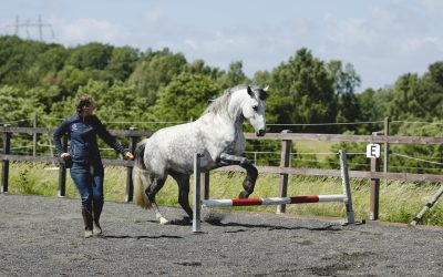 Hoppning från marken