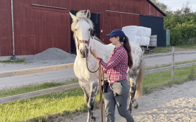 Övning: Ställning & Böjning