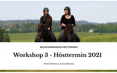 Extra: Workshop 2021 – Lastning