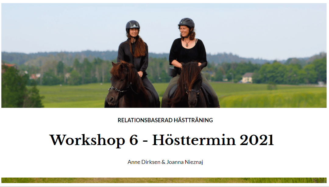 December Workshop 2021 – Kedjor och sekvenser