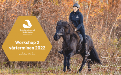 Februari Workshop 2022 – ABC + Signaler