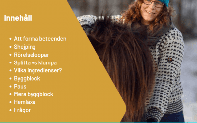 Workshop mars 2022 – Forma fram beteenden, byggblock