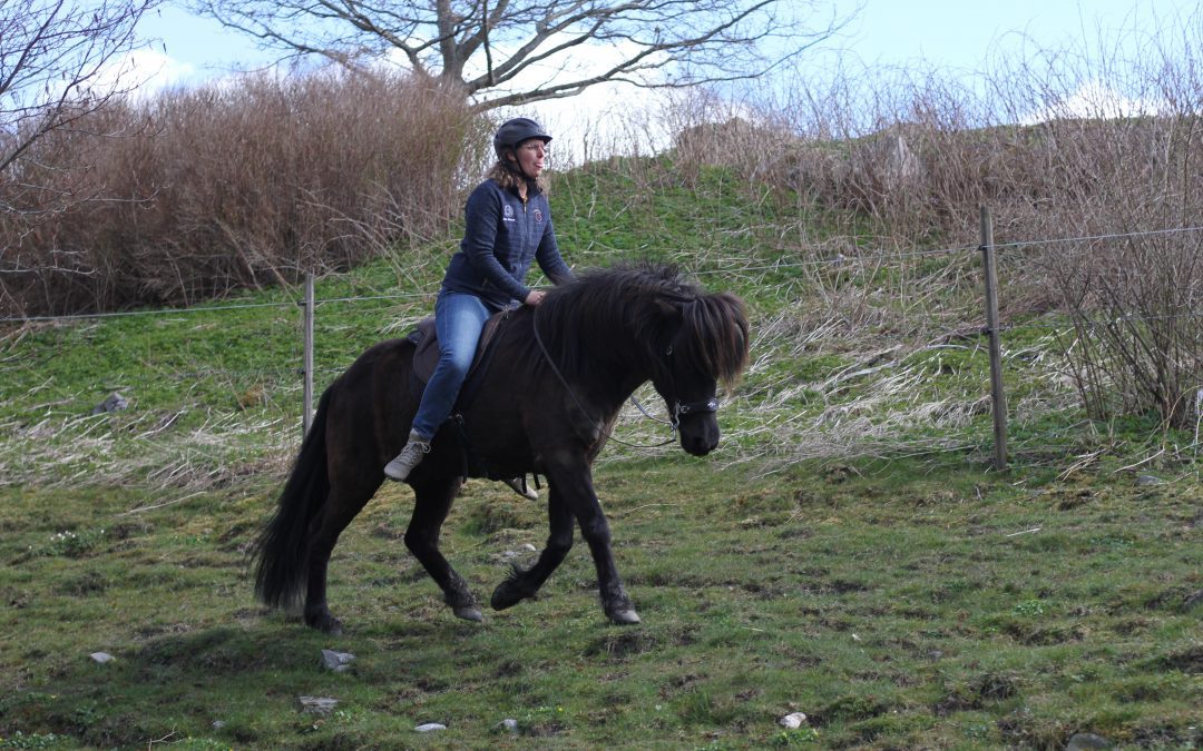 Ridning med hjälp av byttor