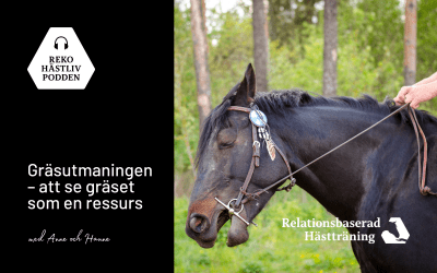 Gräsutmaningen – att se gräset som en resurs