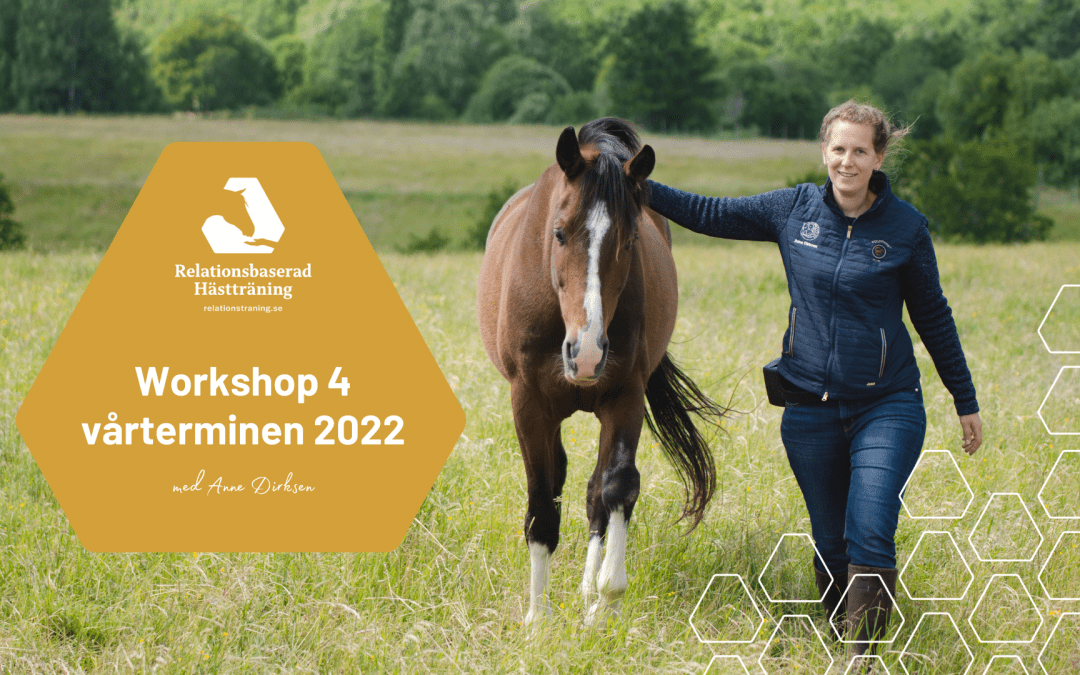 Workshop April 2022 – Problemlösning