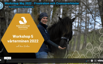 Workshop Maj 2022 – Frustration & Crossoverhästar